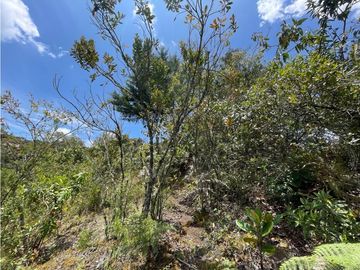 VENTA FINCA EN SANTA ELENA