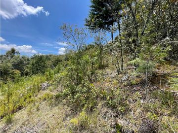 VENTA FINCA EN SANTA ELENA