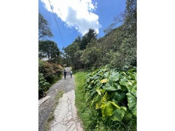 VENTA FINCA EN SANTA ELENA
