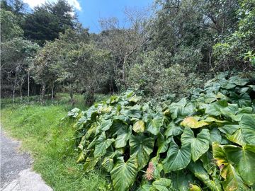 VENTA FINCA EN SANTA ELENA