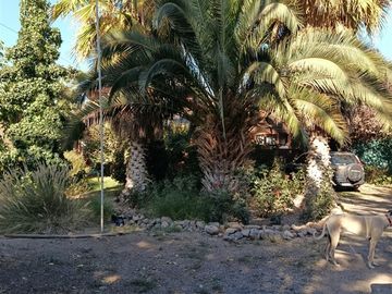 Parcela en venta en San Esteban