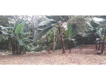 VENDO CASA Y 2160M2 TITULADO POTRERILLOS
