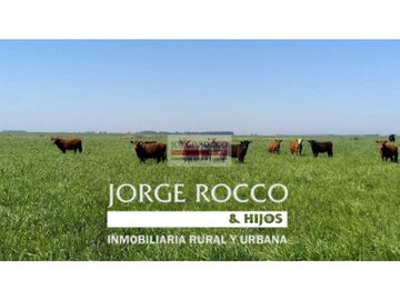 Campo en venta en Chascomús. 306 Has. ganadero