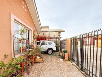 Manfredo Sams 2960-2999