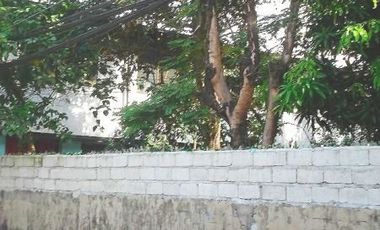 Commercial Lot Property in San Juan City