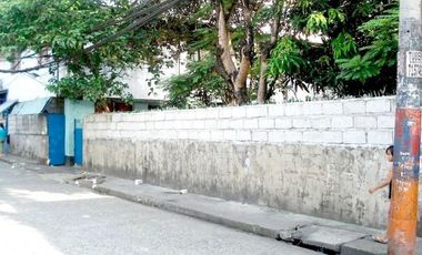 Commercial Lot Property in San Juan City