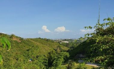 195 SQM Residential Lot for Sale in VISTA VERDE CONSOLACION CEBU with Scenic City Views