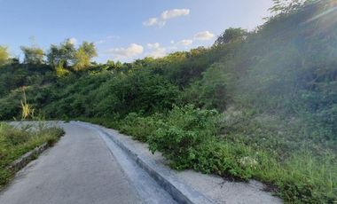 195 SQM Residential Lot for Sale in VISTA VERDE CONSOLACION CEBU with Scenic City Views