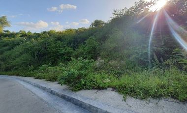 195 SQM Residential Lot for Sale in VISTA VERDE CONSOLACION CEBU with Scenic City Views