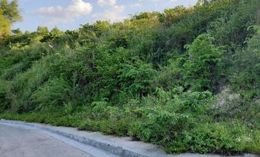 195 SQM Residential Lot for Sale in VISTA VERDE CONSOLACION CEBU with Scenic City Views