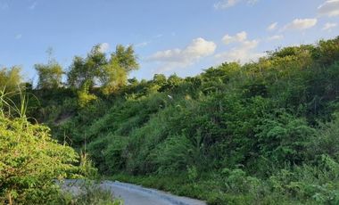 195 SQM Residential Lot for Sale in VISTA VERDE CONSOLACION CEBU with Scenic City Views