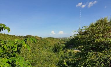 195 SQM Residential Lot for Sale in VISTA VERDE CONSOLACION CEBU with Scenic City Views