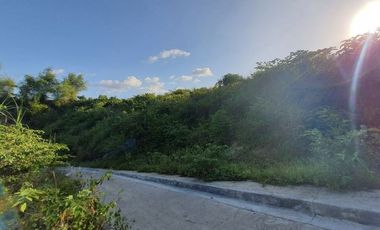 195 SQM Residential Lot for Sale in VISTA VERDE CONSOLACION CEBU with Scenic City Views