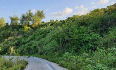 195 SQM Residential Lot for Sale in VISTA VERDE CONSOLACION CEBU with Scenic City Views