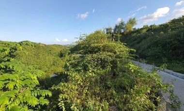 195 SQM Residential Lot for Sale in VISTA VERDE CONSOLACION CEBU with Scenic City Views