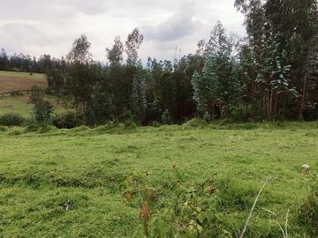 OPORTUNIDAD TERRENO EN VENTA EN LOS CHILLOS