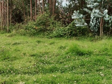 OPORTUNIDAD TERRENO EN VENTA EN LOS CHILLOS