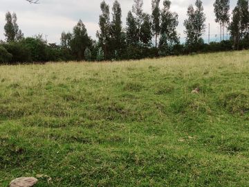 OPORTUNIDAD TERRENO EN VENTA EN LOS CHILLOS