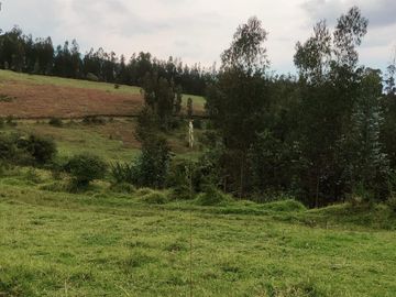 OPORTUNIDAD TERRENO EN VENTA EN LOS CHILLOS