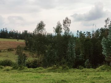 OPORTUNIDAD TERRENO EN VENTA EN LOS CHILLOS