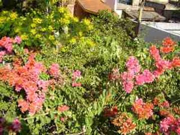Chalet en venta en Moron Sur