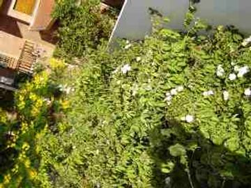 Chalet en venta en Moron Sur