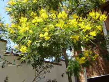 Chalet en venta en Moron Sur