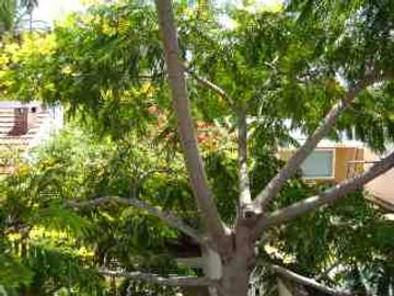 Chalet en venta en Moron Sur