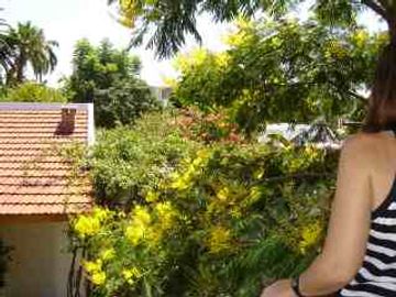 Chalet en venta en Moron Sur