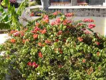Chalet en venta en Moron Sur