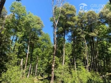 Parcela en venta en Curarrehue