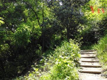 Departamento en Venta en Condominio Bosques de la Pirámide - Ciudad Empresarial - Paperchase - Colegio Saint George