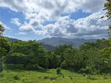 Finca Capira (ID 13081)