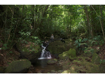 Finca Capira (ID 13081)