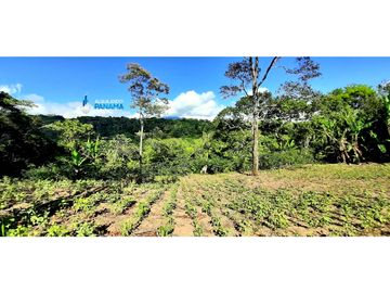 En venta terreno en Palmira |KH