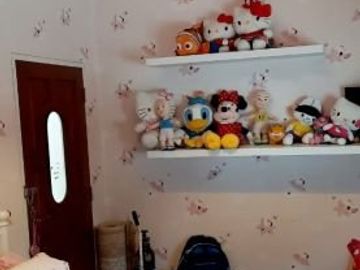 Rumah mewah 6,25M di Bintaro