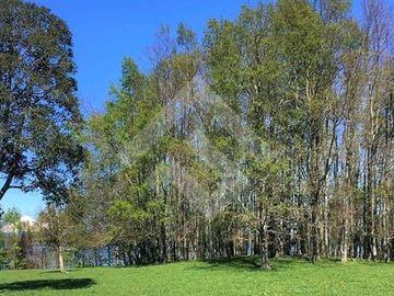 Sitio en Venta en Lago Puyehue-Mantilhue