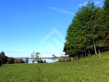 Sitio en Venta en Lago Puyehue-Mantilhue