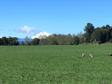 Sitio en Venta en Lago Puyehue-Mantilhue