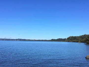 Sitio en Venta en Lago Puyehue-Mantilhue