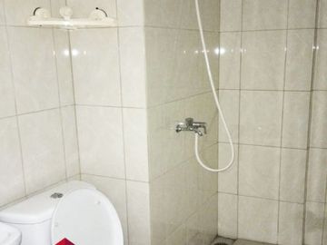 Disewakan Apartemen Springlake 2BR Davallia dekat Pool