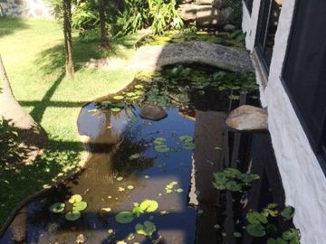 Casa en venta en Las Fincas, Jiutepec, Morelos.  Casas y bienes raíces al sureste de Cuernavaca, Morelos.