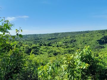 Rancho en venta en Paso de Ovejas, Ver.