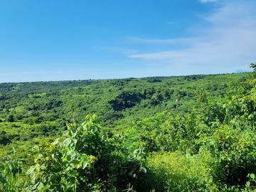 Rancho en venta en Paso de Ovejas, Ver.
