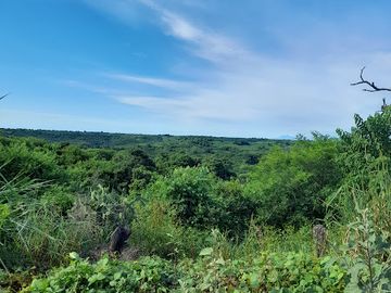 Rancho en venta en Paso de Ovejas, Ver.