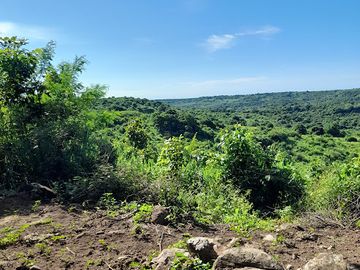 Rancho en venta en Paso de Ovejas, Ver.
