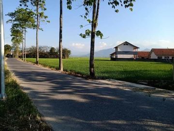 Tanah sawah ciparay bandung