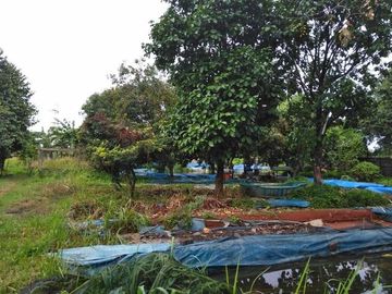 Dijual cepat Tanah dekat Puri Indah, ringroad, Kembangan