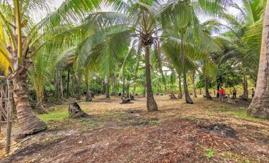 TITLED LOT, GENERAL LUNA, SIARGAO ISLAND