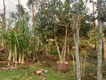 DIJUAL Rumah Dengan Tanah Yang Luas Di Daerah Bandung